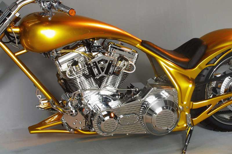 GOLD CAT
